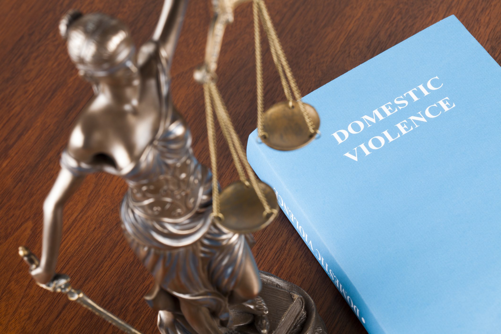 Libro legal relacionado con violencia doméstica